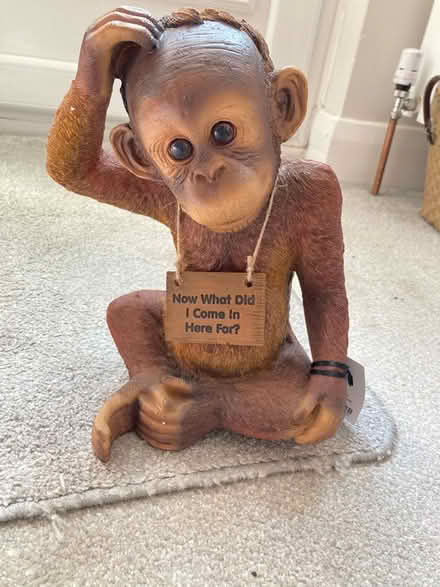 Photo of free Ollie the Orangutan (Worcester Park) #1