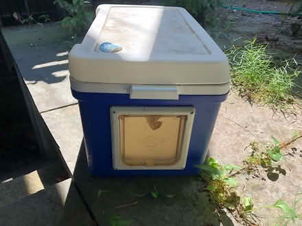 Photo of free Cat shelter made from cooler (Mount pleasant) #2