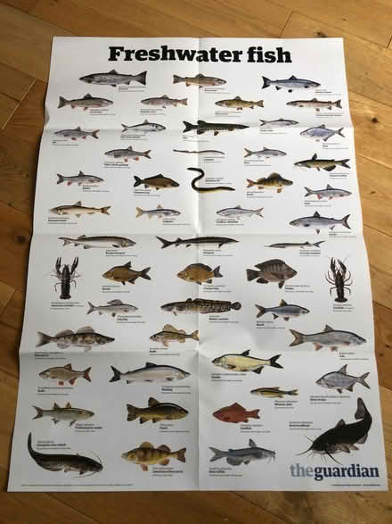 Photo of free Nature posters A4 to A1 size (Earlsdon CV5) #4