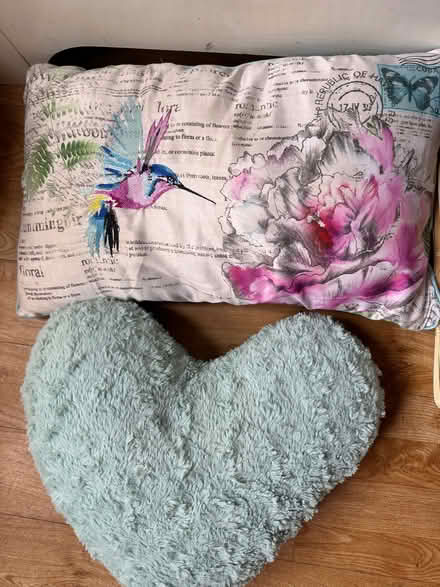 Photo of free Two cushions in duck egg blue (Poplars SG2) #1