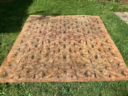 Photo of free Rug/carpet square (Helsby WA6) #1