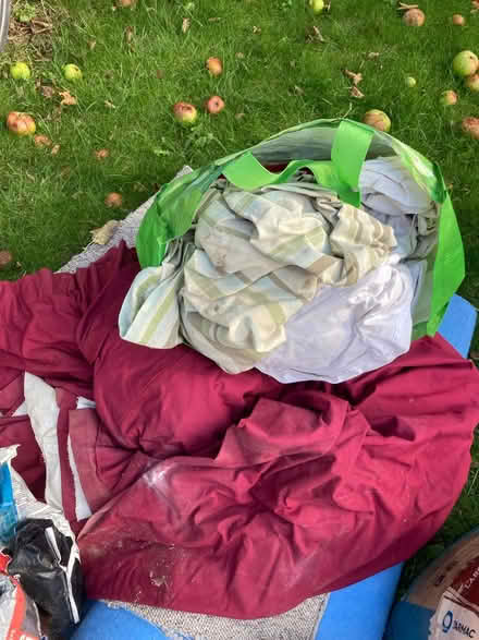 Photo of free Rags for when painting (Patcham) #1