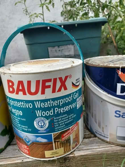Photo of free Old Paint (Florence Park OX4) #1