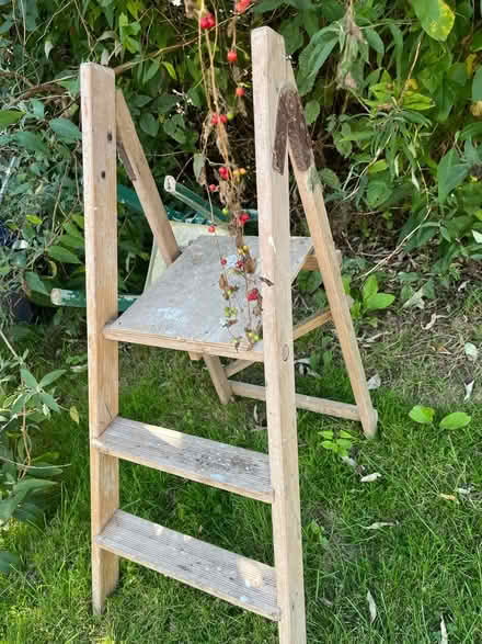 Photo of free Old folding wooden steps (Near Rottingdean) #2