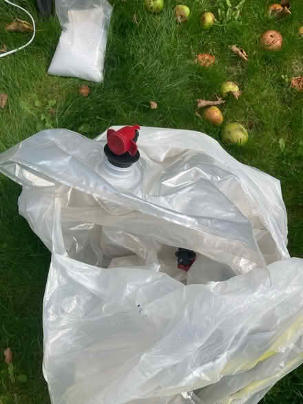 Photo of free Home brew bits and pieces (Patcham) #3