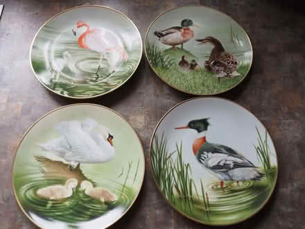 Photo of free Dinner/decorative plates (Longden SY5) #1