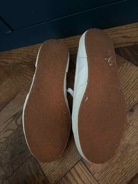 Photo of free Superga Trainers (West Kensington, W14) #3