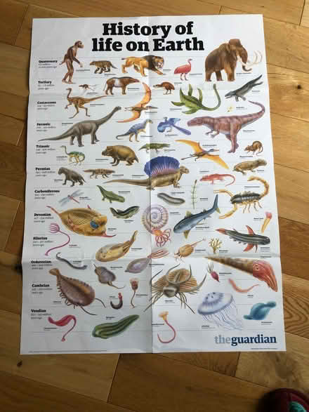 Photo of free Nature posters A4 to A1 size (Earlsdon CV5) #2
