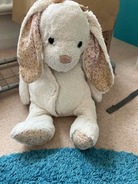 Photo of free Bunny pyjama case (Minchinhampton) #1
