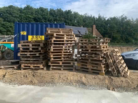 Photo of free Pallets (Pound Green Buxted) #1