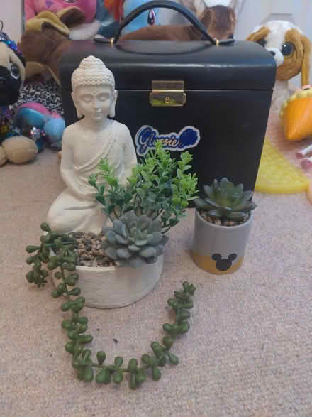 Photo of free Fake plants (Deddington OX15) #1