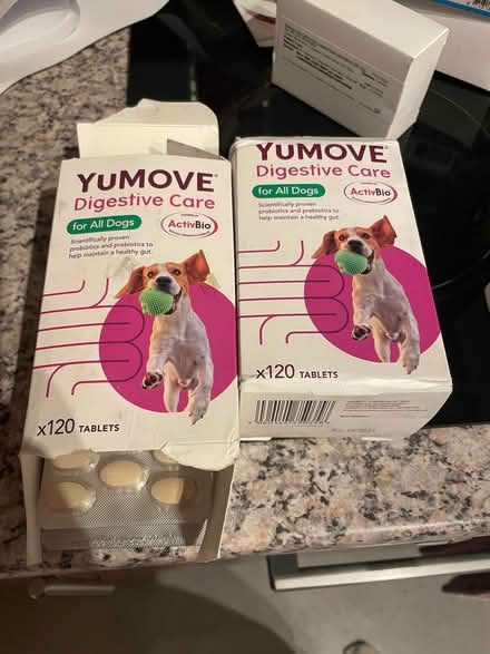 Photo of free Yumove dugestive care tablets for dogs (Cold Harbour OX1) #1