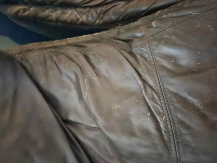 Photo of free 2 x brown leather arm chairs (Abingdon OX14) #4