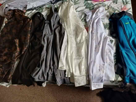 Photo of free Mens Shirts size M-L (Lazonby CA10) #1