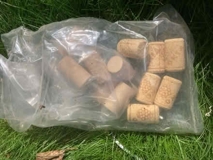 Photo of free Home brew bits and pieces (Patcham) #4
