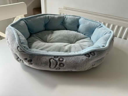 Photo of free Cat bed (Greenhill S8) #1