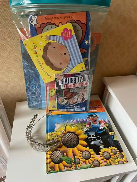 Photo of free Children’s books n tiaras (BH23) #1
