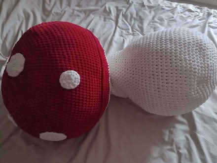 Photo of free Very large mushroom cuddle cushion (John Lea area NN8) #2
