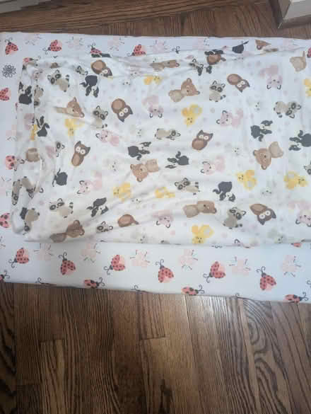 Photo of free Cushion (Derwood) #2