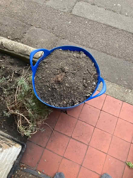 Photo of free Earth/Soil (Oxford OX2) #1