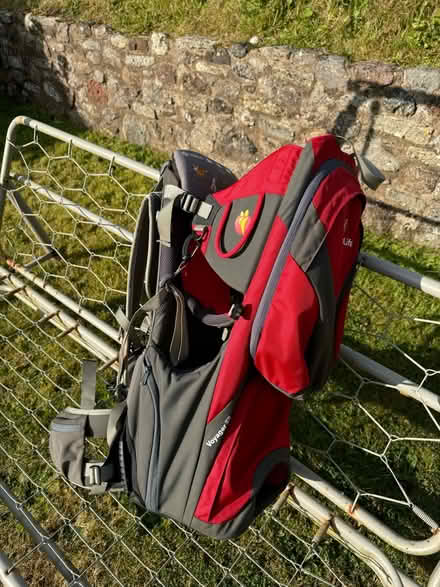 Photo of free Child carrier (Stokeinteignhead, N.Abbot TQ12) #1