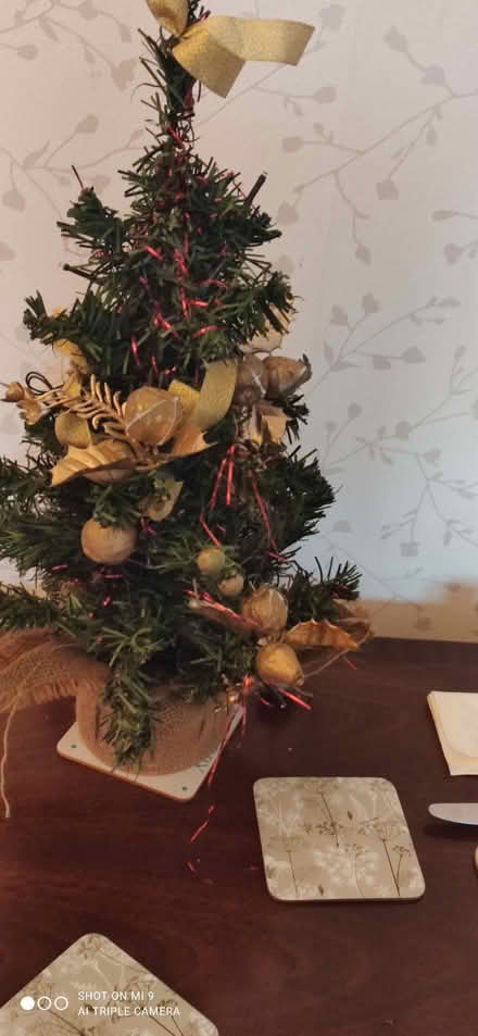 Photo of free Decorative mini Christmas Tree with LED lights (CO15) #1