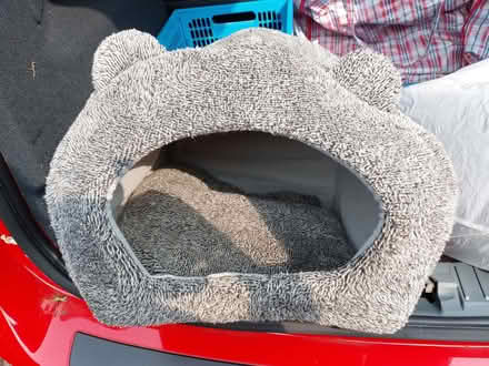 Photo of free Furry cat igloo bed- good condition (Langdon Hills SS16) #1