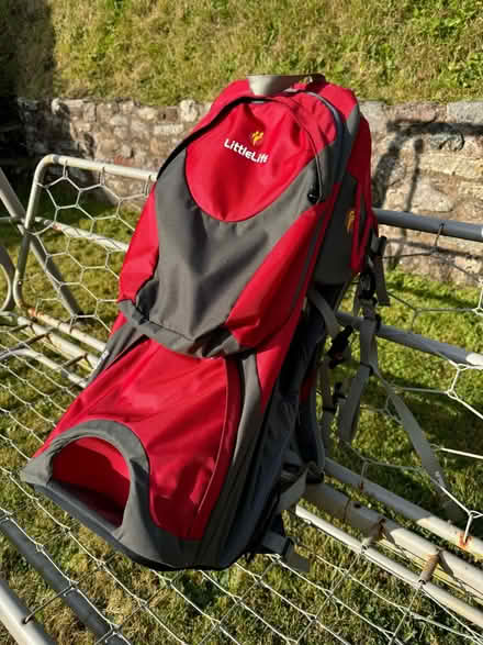 Photo of free Child carrier (Stokeinteignhead, N.Abbot TQ12) #2