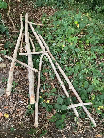 Photo of free Rustic poles(4) about 7 feet long (Hendon, London NW4) #2