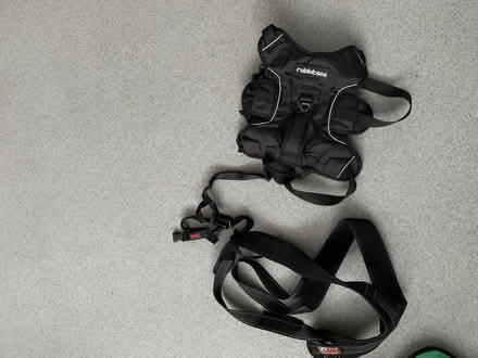 Photo of free Dogs toy and harness and bed (N1) #1