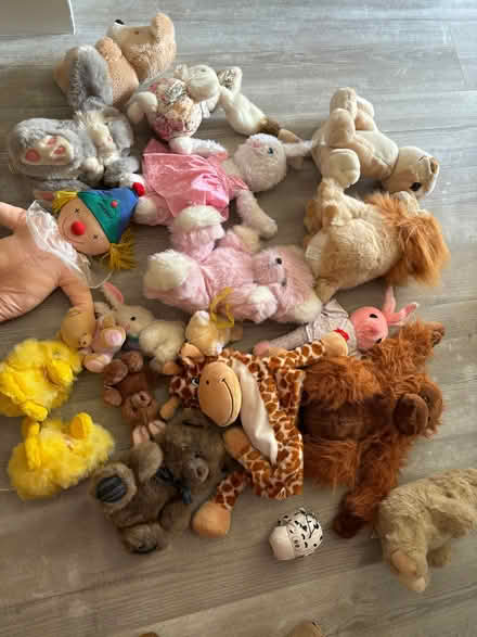 Photo of free Box of soft toys (Currie EH14) #3
