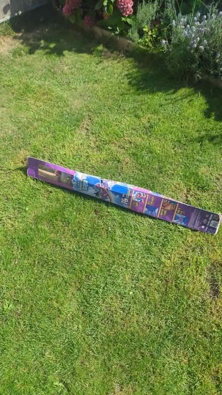 Photo of free Dragon kite (Isleworth, TW3) #1