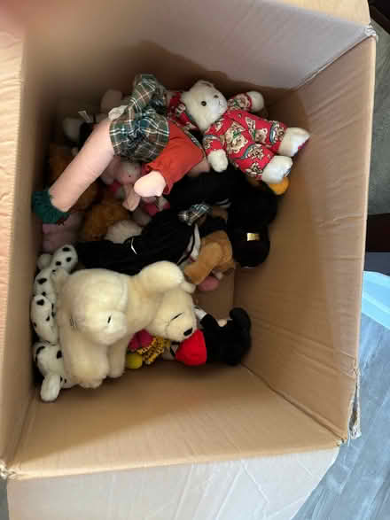 Photo of free Box of soft toys (Currie EH14) #1