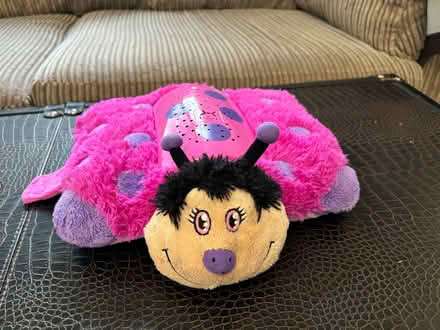 Photo of free Mookie Lady Bug, Hot Pink (HA8) #2