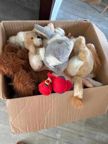 Photo of free Box of soft toys (Currie EH14) #2