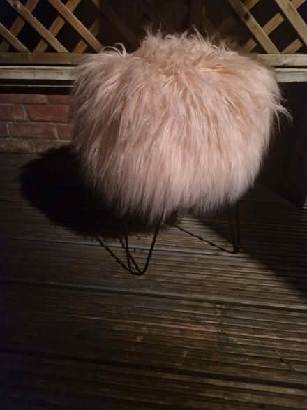 Photo of free A furry stool (New Town CO1)