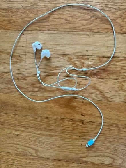 Photo of free Lightning accessories (Lake Merritt) #1