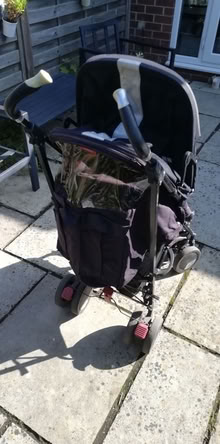 Photo of free Maclaren Stroller (S7 Netheredge) #4