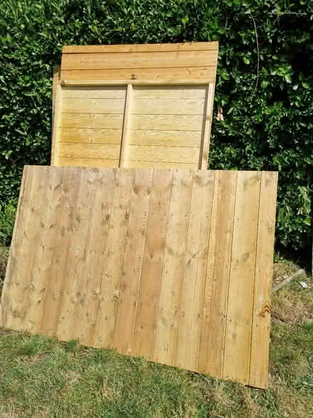 Photo of free Shed panels (Abingdon OX14) #1