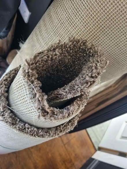 Photo of free Carpet off cuts (Meersbrook S2) #2