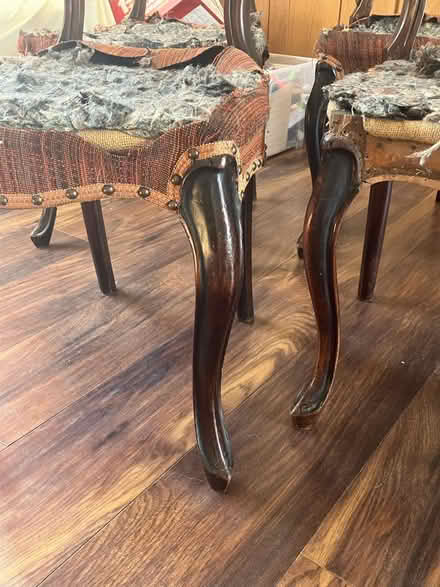 Photo of free Antique chairs for renovation (Rusthall TN4) #3