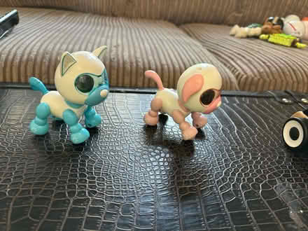 Photo of free Robot Dog, Early Education Toy (HA8) #1