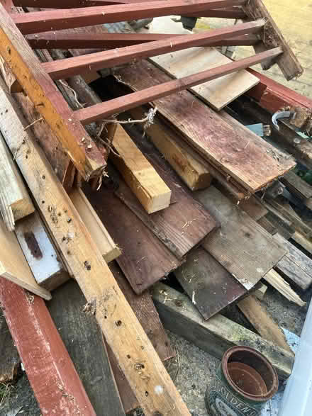 Photo of free firewood (NR4) #2