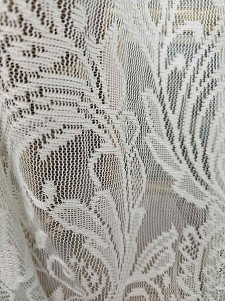 Photo of free Nets (ME20) #2