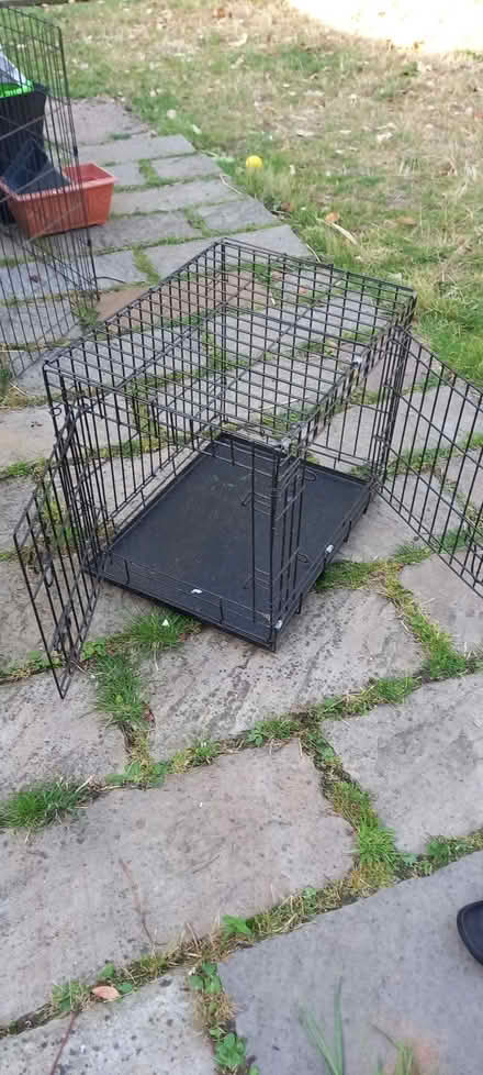 Photo of free Small cage for animals (Chaddesden DE21) #1