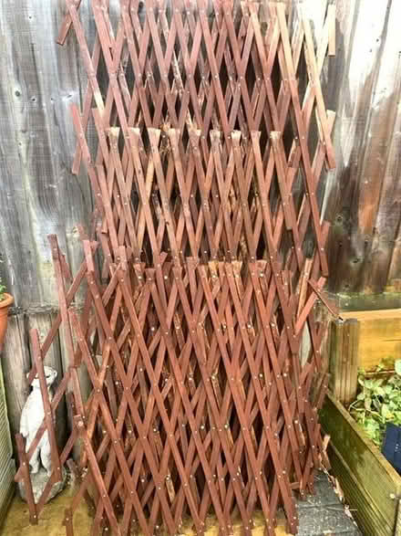 Photo of free Garden trellis (Hardwick OX16) #1