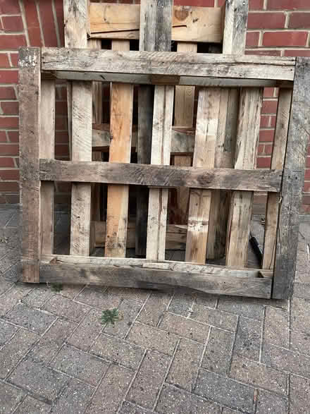 Photo of free 2 pallets. Collect SG12. Nr Wodson Park (Ware SG12) #1