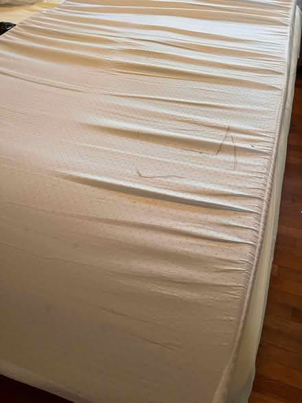 Photo of free 2” memory foam twin mattress topper (Chevy Chase MD) #2
