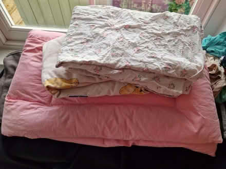 Photo of free Toddler duvet with covers (Bog Gate TW9) #2