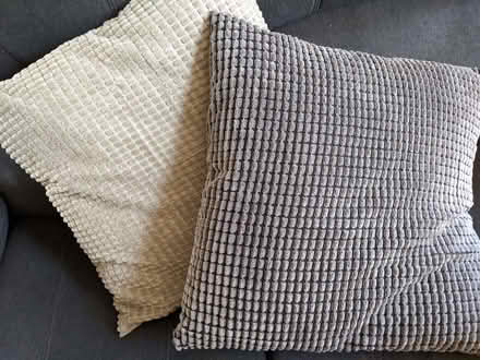 Photo of free Cushions (Freehold LA1) #2